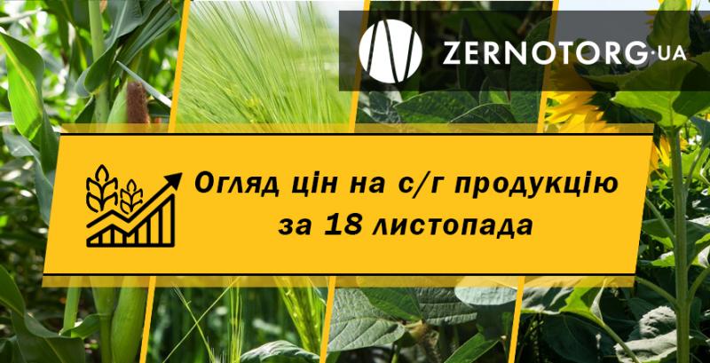 Ціни на зернові та олійні — огляд за 18 листопада від Zernotorg.ua