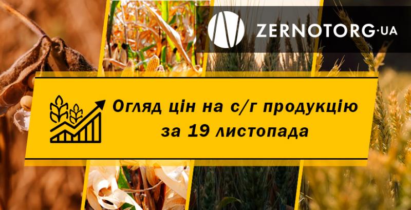 Ціни на с/г продукцію — огляд за 19 листопада від Zernotorg.ua