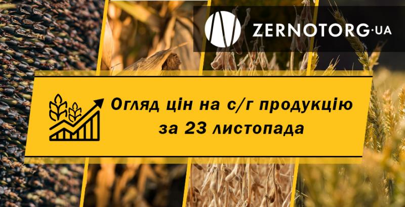 Ціни на зернові та олійні — огляд за 23 листопада від Zernotorg.ua