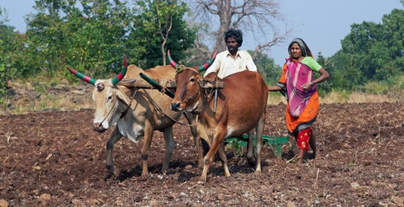 Індійські фермери знову вийдуть на протести