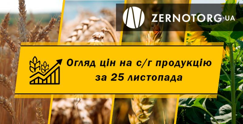 Ціна сої стабілізувалась — огляд за 25 листопада від Zernotorg.ua