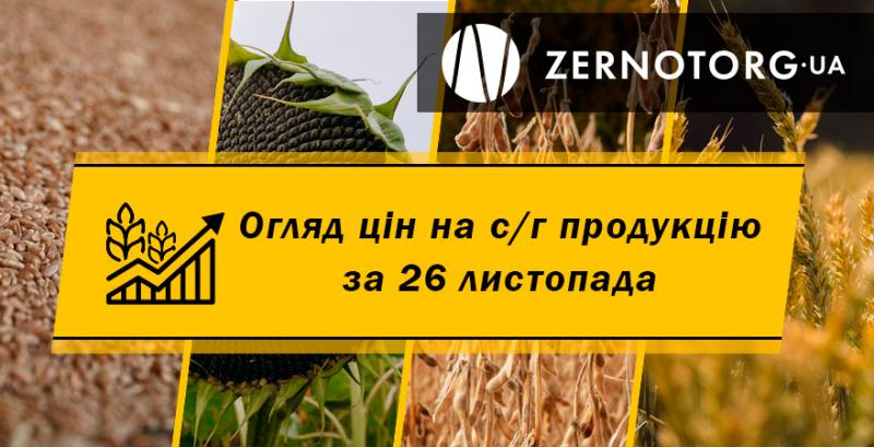 Ціна пшениці в портах перевищила позначку в 10 000 грн/т — огляд за 26 листопада від Zernotorg.ua