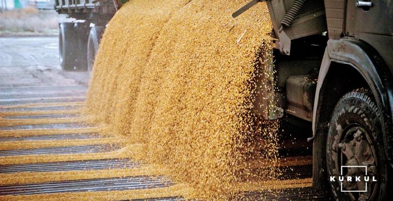 Розвантаження зерна кукурудзи