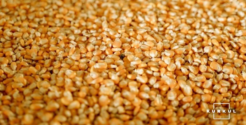 В Україні почастішали випадки продажу підробленого насіння