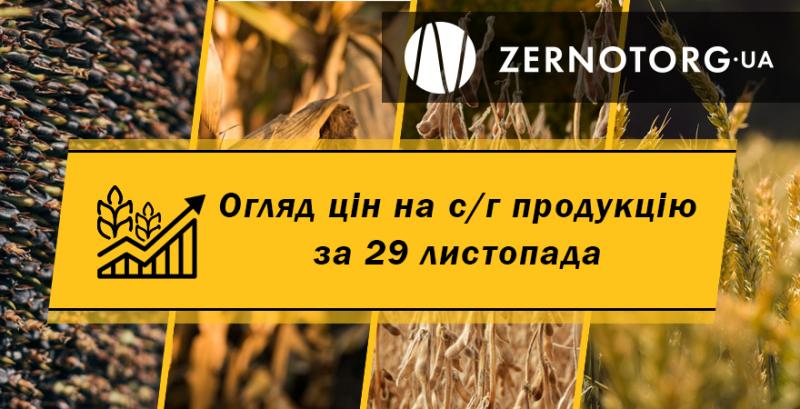 Ціна пшениці продовжує триматись на рекордних позначках — огляд за 29 листопада від Zernotorg.ua