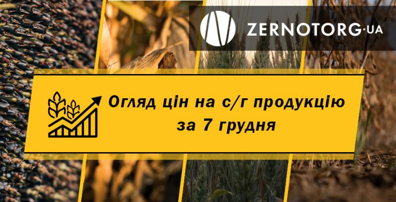 Ціна пшениці продовжує падати — огляд за 7 грудня від Zernotorg.ua