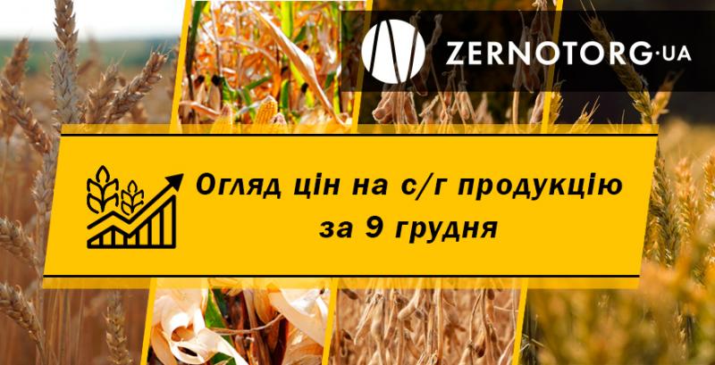 Ціни на зернові стабілізувались — огляд за 9 грудня від Zernotorg.ua