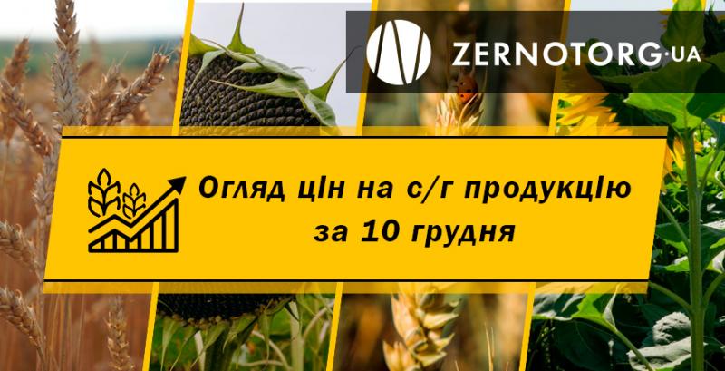В портах зросла ціна соняшнику — огляд за 10 грудня від Zernotorg.ua