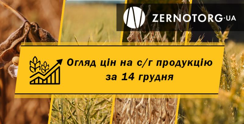 Ціни на зернові та олійні — огляд за 14 грудня від Zernotorg.ua