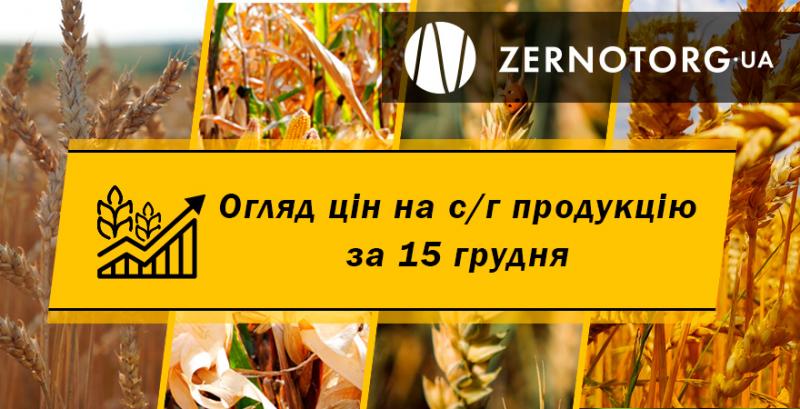 В Україні дешевшає пшениця — огляд за 15 грудня від Zernotorg.ua