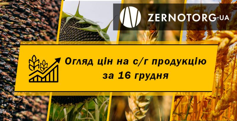 Ціна соняшнику опустилась до 19 000 грн/т — огляд за 16 грудня від Zernotorg.ua