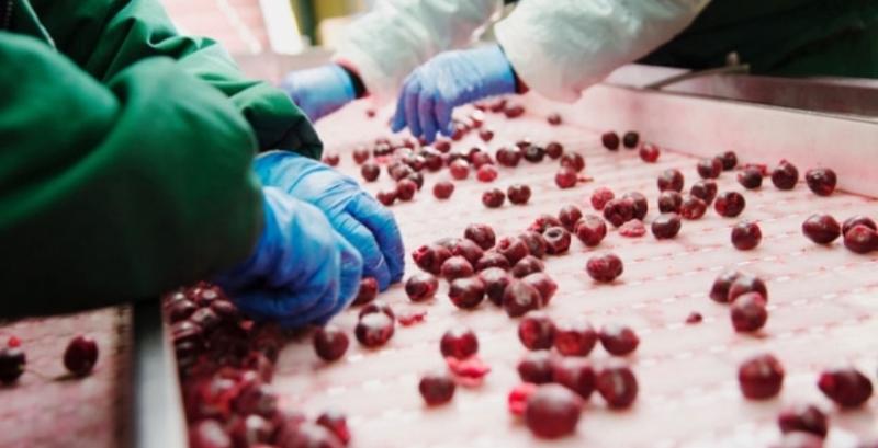 У 2022 році на Львівщині запрацює новий завод із переробки фруктів