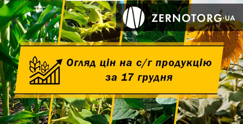 Ціни на зернові та олійні — огляд за 17 грудня від Zernotorg.ua