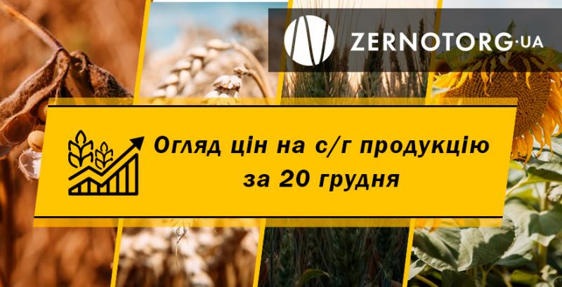 В Україні дешевшають зернові  — огляд за 20 грудня від Zernotorg.ua