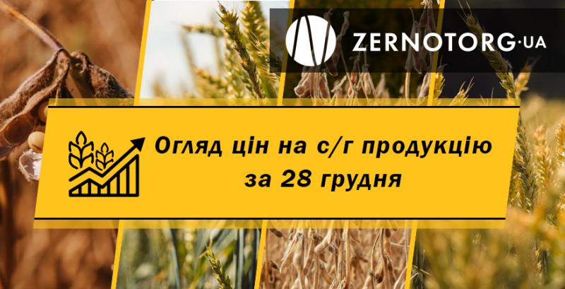 Ціни на зернові та олійні — огляд за 28 грудня від Zernotorg.ua