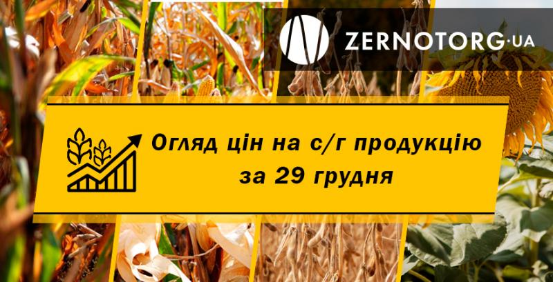 Ціни на кукурудзу знизились — огляд за 29 грудня від Zernotorg.ua