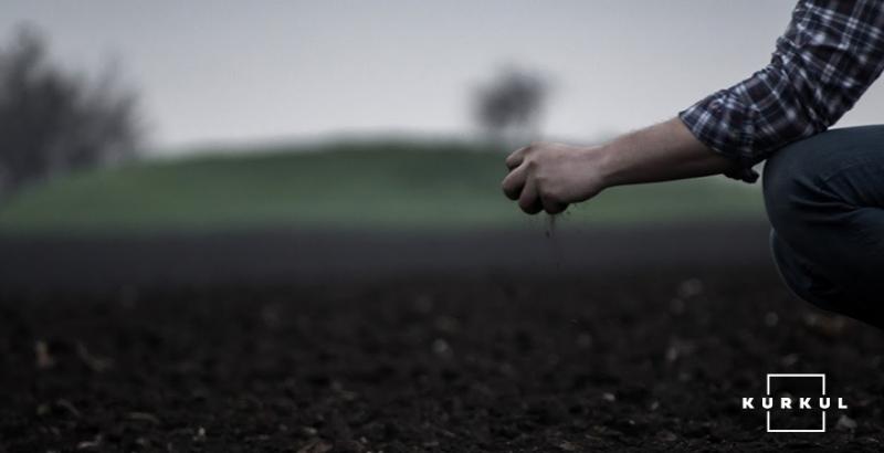 На Миколаївщині через урожай конфліктують два фермери 
