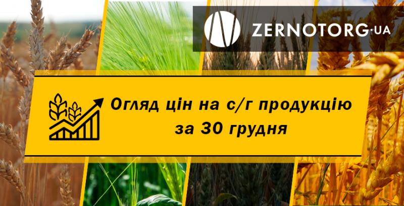 В портах Одещини подешевшали зернові — огляд за 30 грудня від Zernotorg.ua