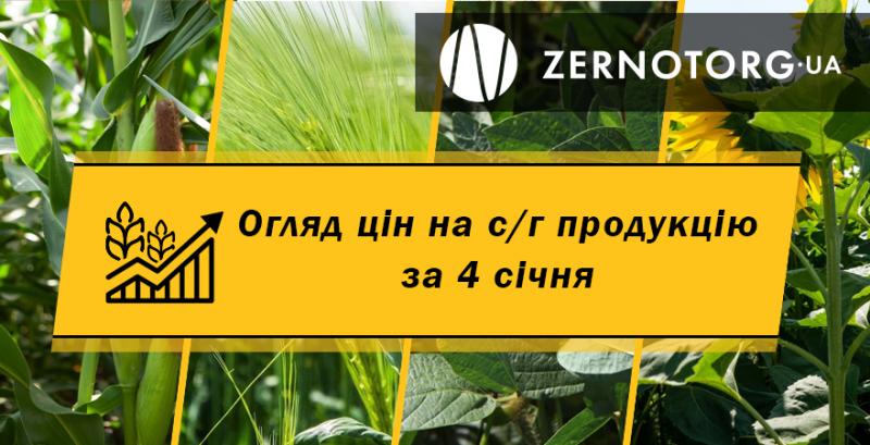 Ціни на зернові та олійні — огляд за 4 січня від Zernotorg.ua