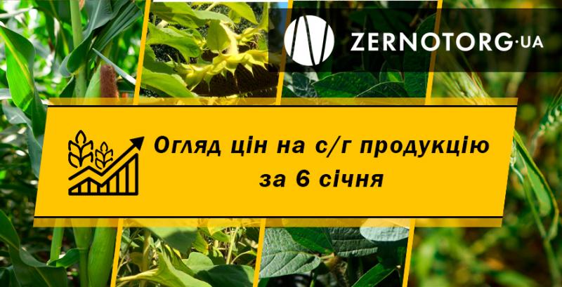Як змінились ціни на зерно — огляд за 6 січня від Zernotorg.ua