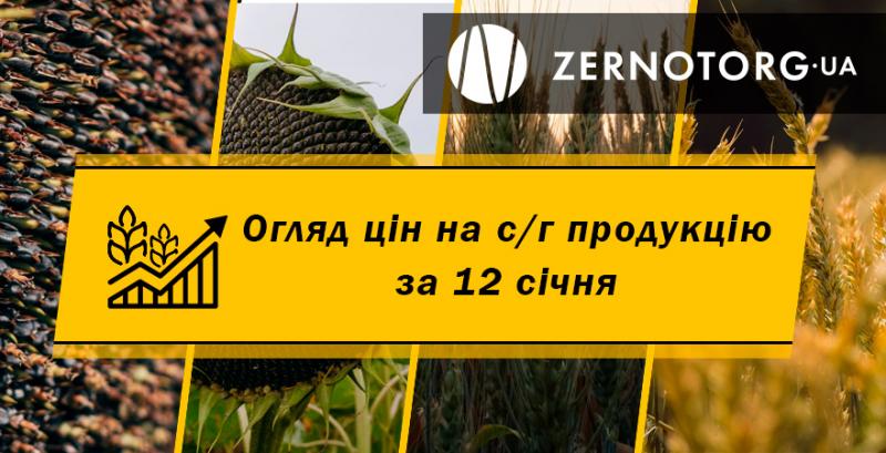 Ціни на с/г продукцію — огляд за 12 січня від Zernotorg.ua