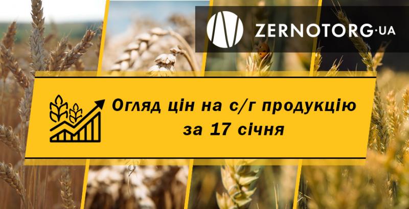 Як змінились ціни на зернові — огляд за 17 січня від Zernotorg.ua