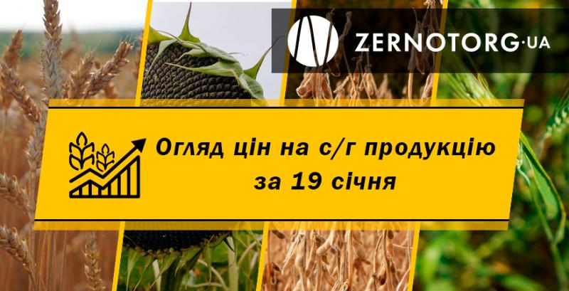 Ціни на зернові та олійні — огляд за 19 січня від Zernotorg.ua
