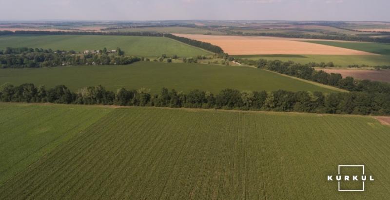 Українські фермери майже не беруть участь в торгівлі землею — Томич