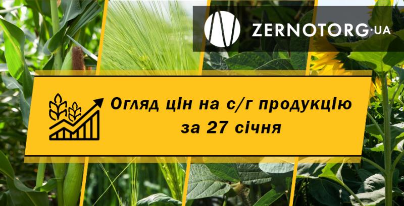 Ціни на с/г продукцію — огляд за 27 січня від Zernotorg.ua