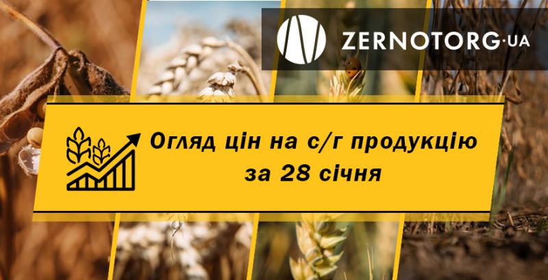 Ціни на зерно стабілізувались — огляд за 28 січня від Zernotorg.ua