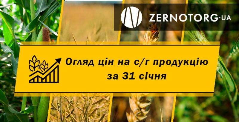 Ціни на с/г продукцію — огляд за 31 січня від Zernotorg.ua