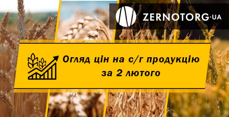 Як змінились ціни на зерно — огляд за 2 лютого від Zernotorg.ua