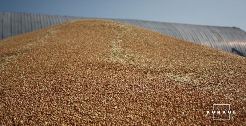 На експортному ринку падає ціна української пшениці — G.R. Agro