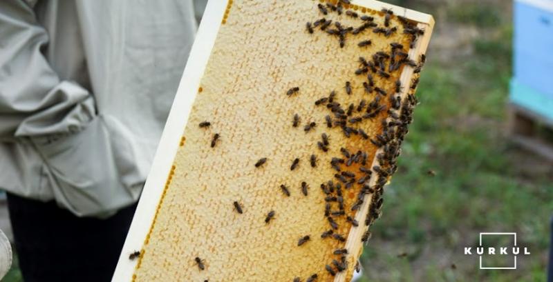 На Буковині запрацює музей бджільництва
