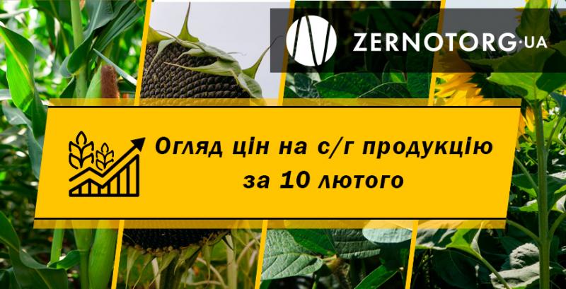 Ціна соняшнику знизилась на 250 грн/т — огляд за 10 лютого від Zernotorg.ua