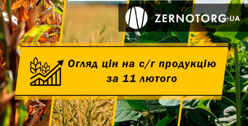 Ціни на зернові та олійні — огляд за 11 лютого від Zernotorg.ua