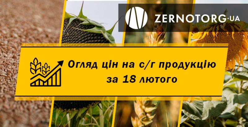 Зернові та олійні дорожчають — огляд за 18 лютого від Zernotorg.ua