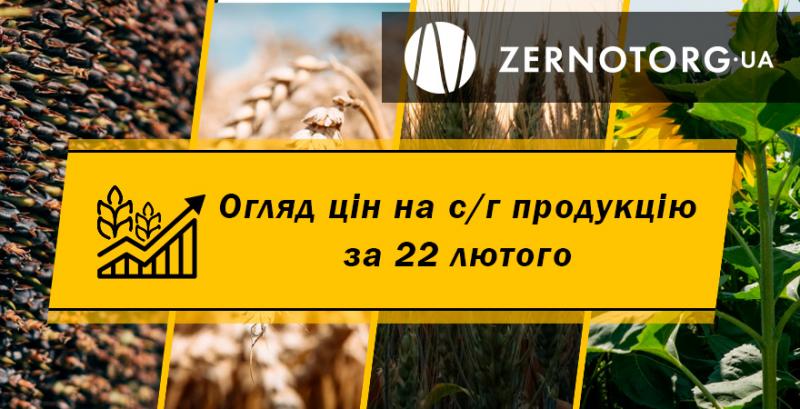 Як змінились ціни на пшеницю — огляд за 22 лютого від Zernotorg.ua