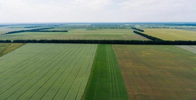 Українським фермерам нададуть безкоштовний доступ до супутникового моніторингу полів
