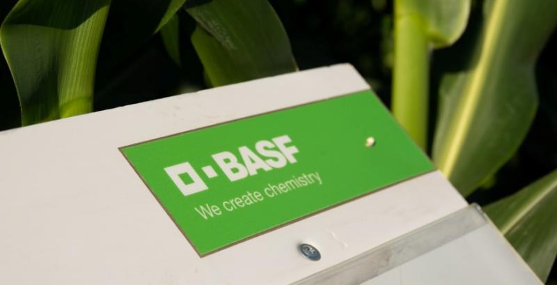 BASF відкриває цілодобову гарячу лінію для консультації аграріїв