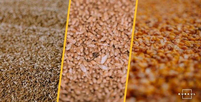 У квітні аграрії експортували понад 700 тисяч т кукурудзи та пшениці