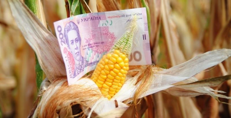 Внутрішні ціни на кукурудзу та пшеницю продовжують падати