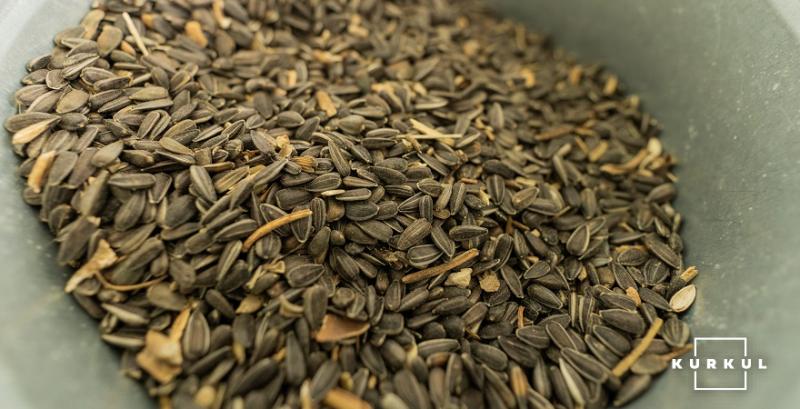 Фермери переорієнтовуються на локальні продажі продукції