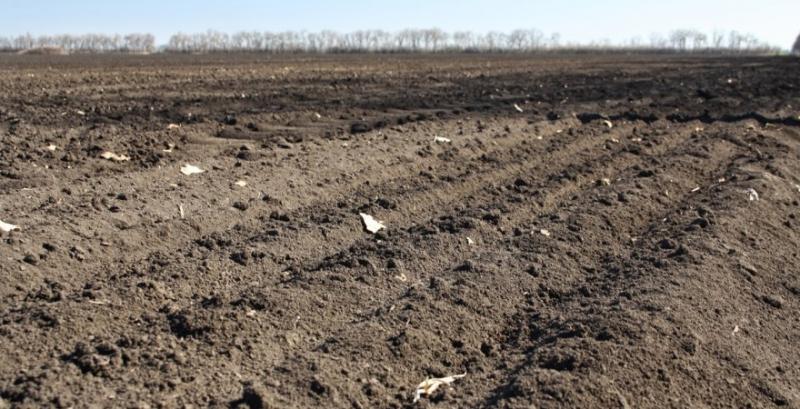 На Дніпропетровщині незасіяними залишились до 40% полів