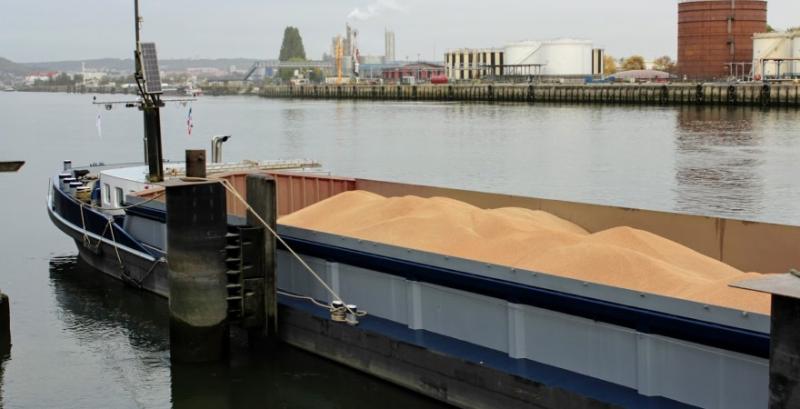 росія вивезла до Сирії 100 тисяч т викраденого в Україні зерна