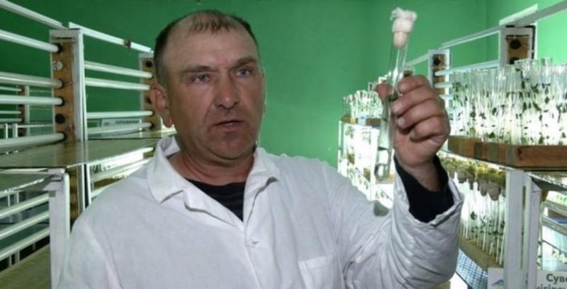 Геннадій Гайструк, завідувач лабораторії біотехнологій підприємства «Чернігівеліткартопля»