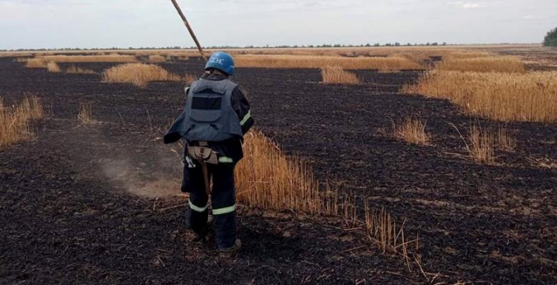 Внаслідок ворожих обстрілів на Миколаївщині горіло зерносховище та пшеничне поле