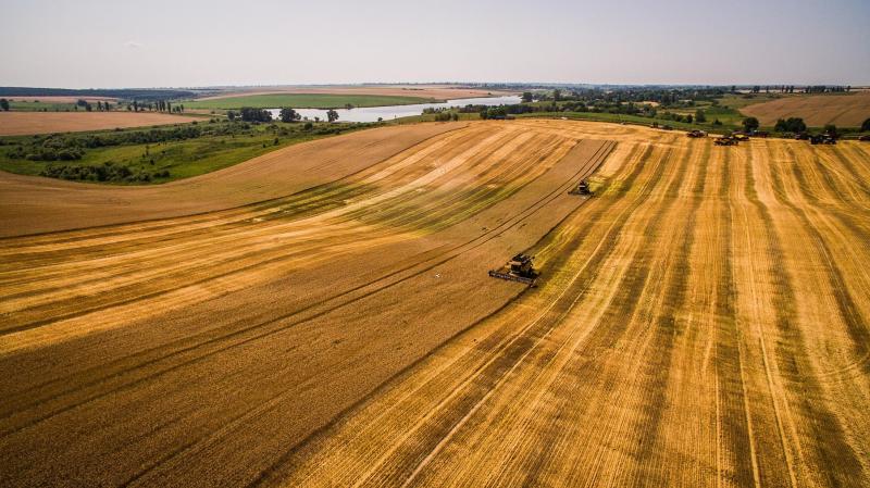 Україна через окупацію потенційно може втрати 22% сільгоспугідь