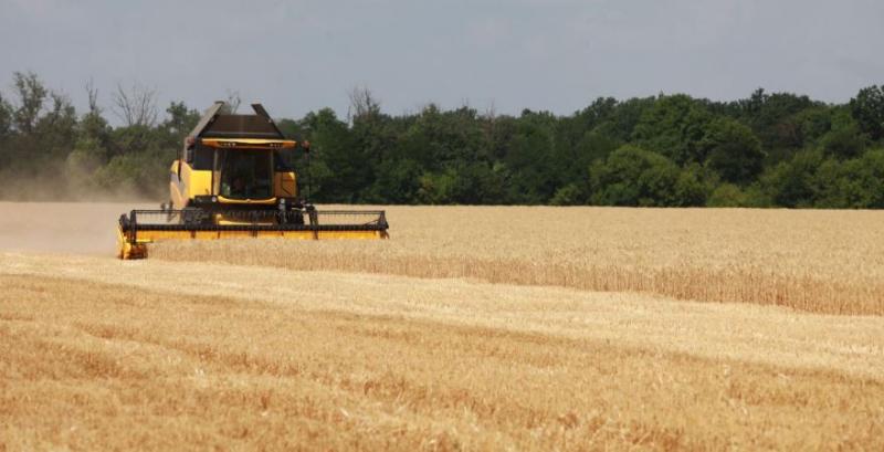 Фермер із Запоріжжя розповів, за скільки можна продати пшеницю в області