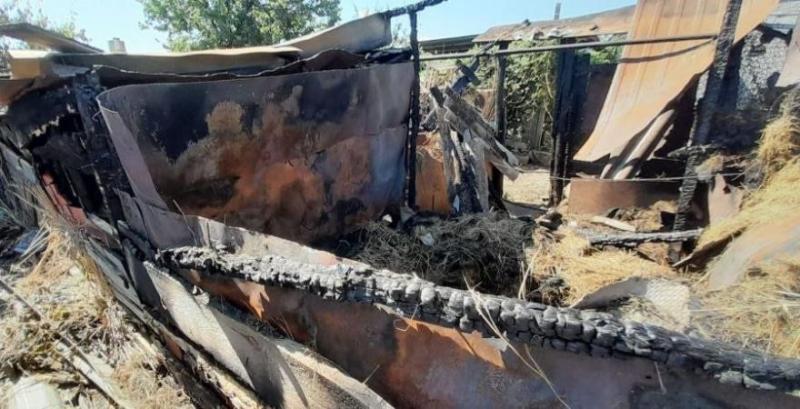 На Запоріжжі внаслідок обстрілу ферми загинули тварини На Запоріжжі внаслідок обстрілу ферми загинули тварини